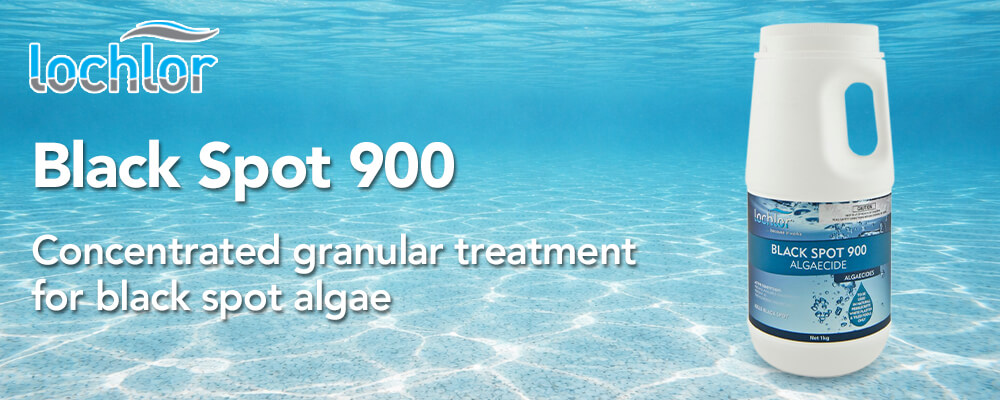 Concentrated granular treatment for black spot algae