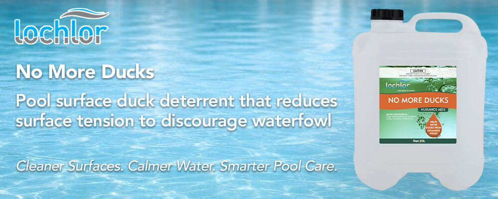 Helps deter ducks from swimming pools