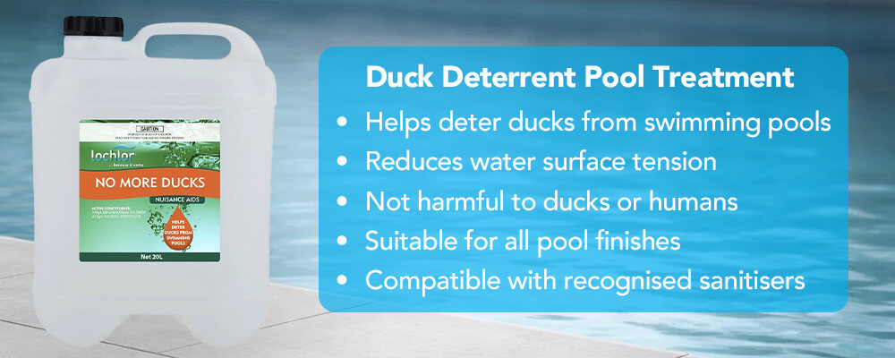 Helps deter ducks from swimming pools