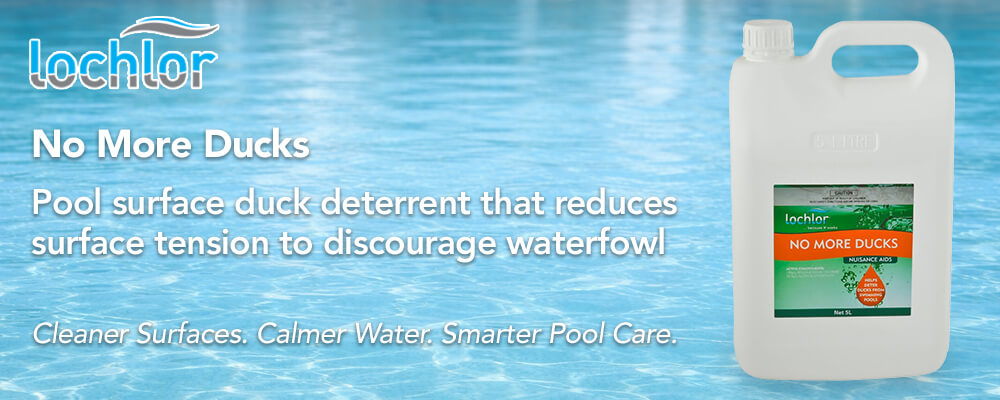 Helps deter ducks from swimming pools