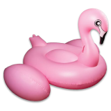 Pool Toys